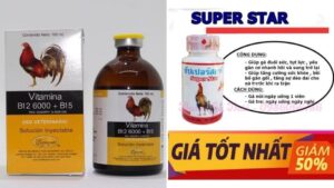 Các loại thuốc gà đá tốt nhất hiện nay 2022