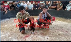 da ga cua tron 11-04-2022