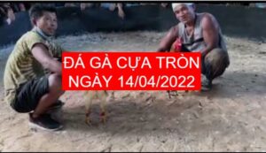 da ga cua tron 14-04-2022