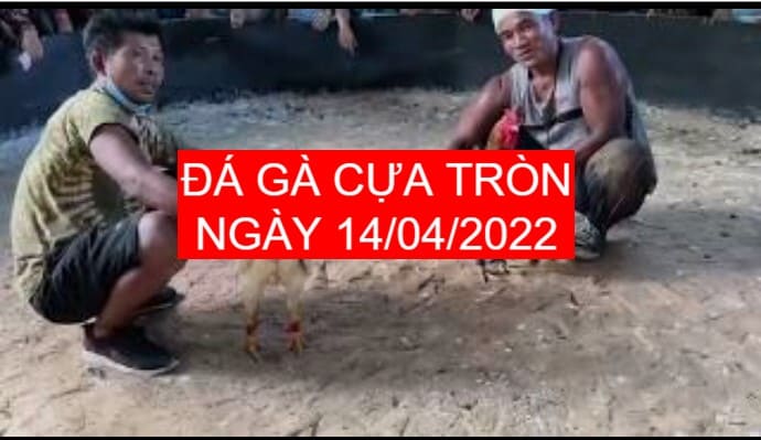 da ga cua tron 14-04-2022