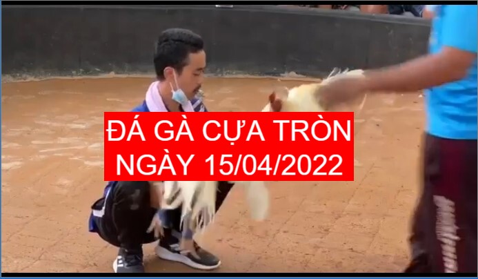 da ga cua tron 15-04-2022
