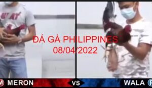 da ga philippines 08-04-2022