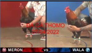 da ga thomo 07-04-2022