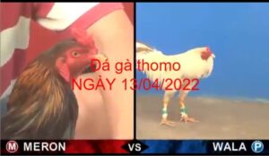da ga thomo 13-04-2022