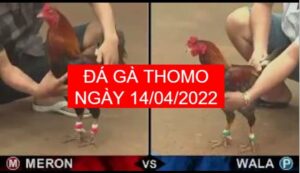 da ga thomo 14-04-2022