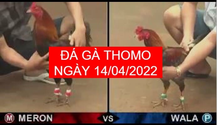 da ga thomo 14-04-2022