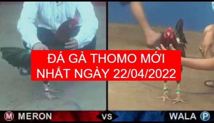 da ga thomo moi nhat 22-04-2022