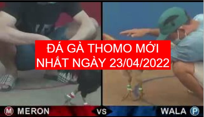 da ga thomo moi nhat 23-04-2022