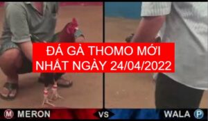 da ga thomo moi nhat ngay 24-04-2022
