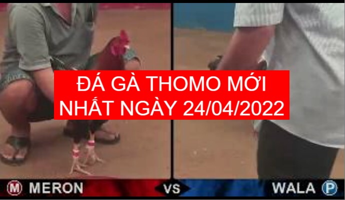 da ga thomo moi nhat ngay 24-04-2022