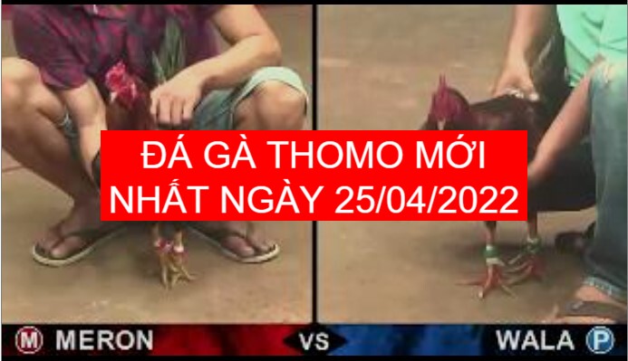 da ga thomo moi nhat ngay 25-04-2022
