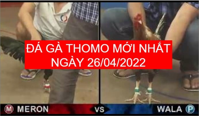 da ga thomo moi nhat ngay 26-04-2022