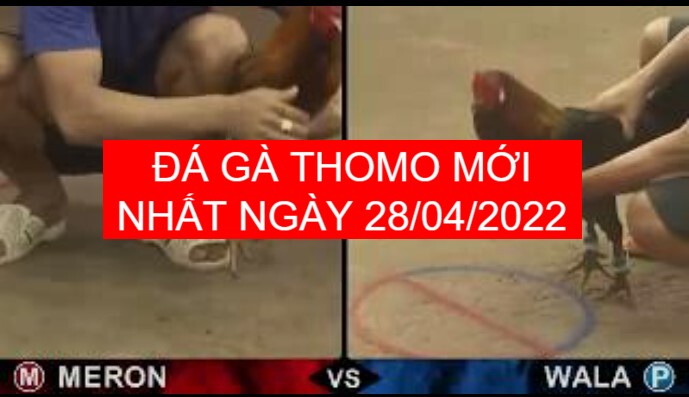da ga thomo moi nhat ngay 28-04-2022