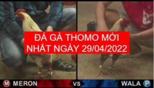 da ga thomo moi nhat ngay 29-04-2022