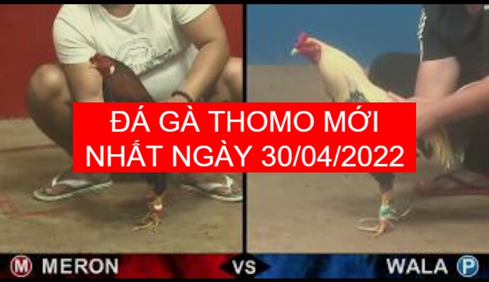 da ga thomo moi nhat ngay 30-04-2022