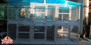 mẫu chuồng gà đẹp