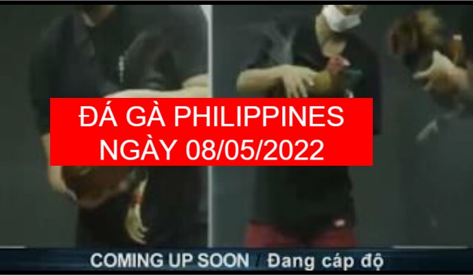 Đá gà philippines ngày 08-05-2022 1