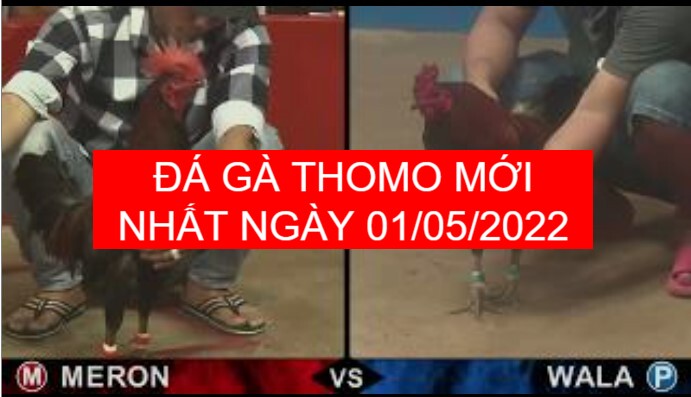 da ga thomo moi nhat ngay 01-05-2022