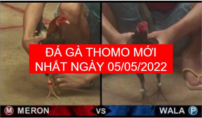 da ga thomo moi nhat ngay 05-05-2022