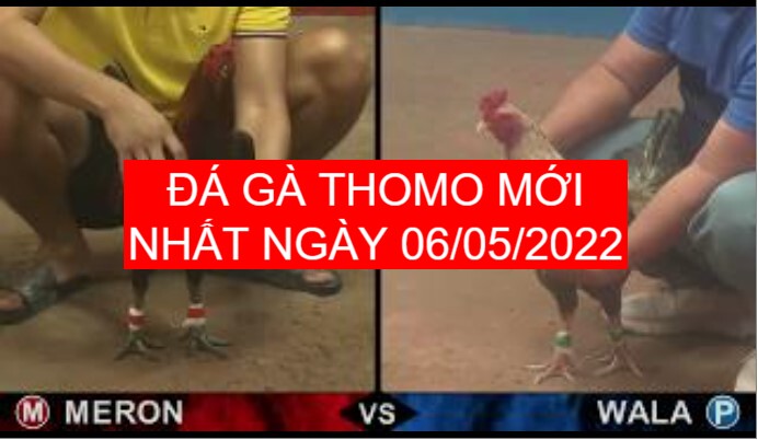 da ga thomo moi nhat ngay 06-05-2022